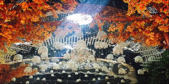 东方维罗纳庄园迎来双11脱单节