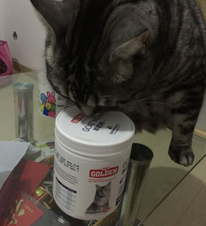 成年猫需要喝谷登羊奶粉吗