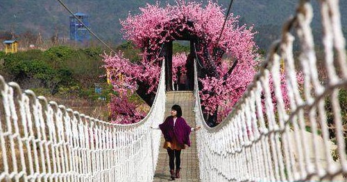 2017年广州情人节约会好去处