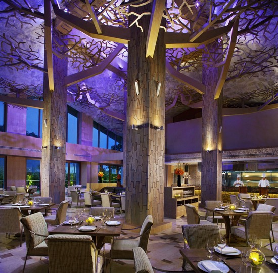 名胜世界“森”餐厅，这里的黄昏，是不是很迷人