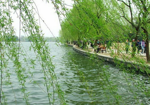 杭州西湖 图片来源：中华网