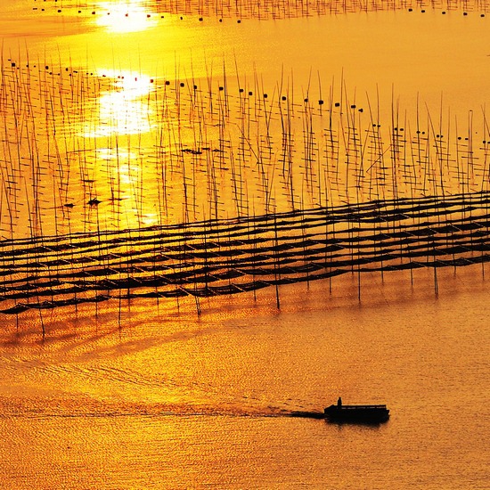 霞浦的日出和晚霞，是最绚烂的光影组合（图片来源：微图网）