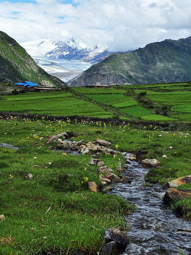 来古冰川下的美景