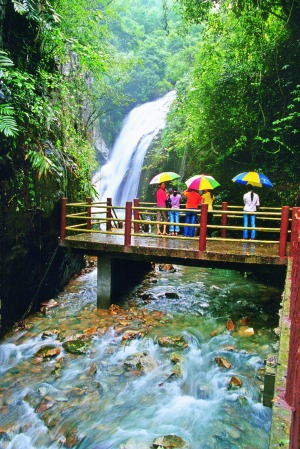 广东纳凉偷闲 盛夏到森林公园避避暑-手机凤凰网