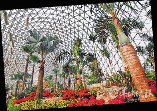上海辰山植物园内的植物温室
