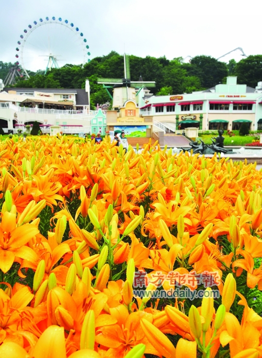 解读签证利好政策 黄金周出国旅游更方便