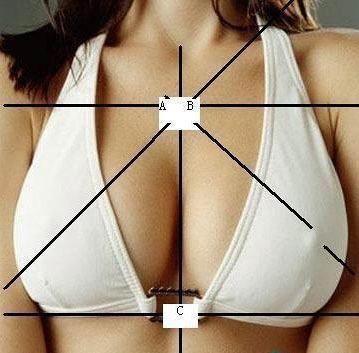 　　这是一张中国标准胸图片