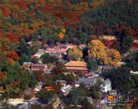 潭柘寺重阳赏红叶