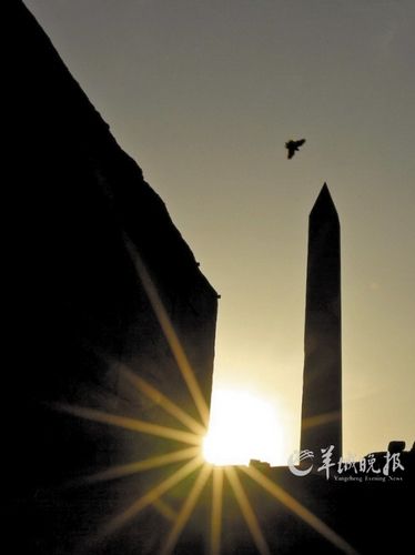 埃及卢克索市卡纳克神庙，夕阳下鸟儿飞过方尖碑。才扬 摄