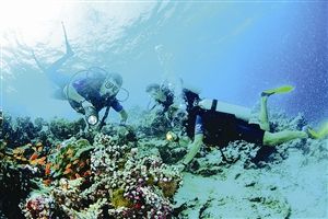 马尔代夫是全球著名的潜水胜地之一