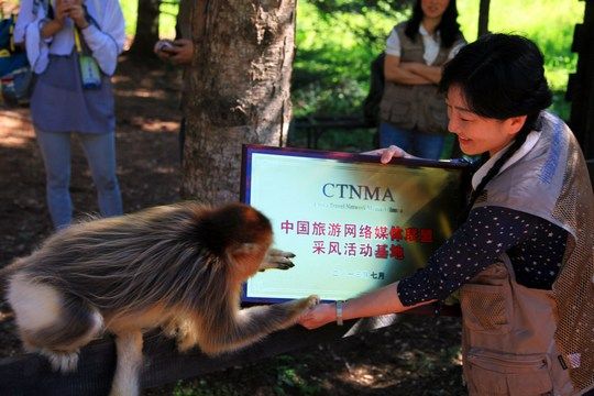 中国旅游网络媒体联盟向金丝猴科研基地授牌。
