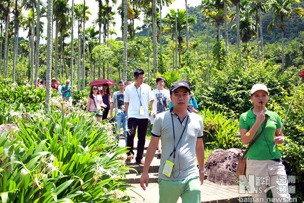 媒体记者在景区槟榔园游览参观