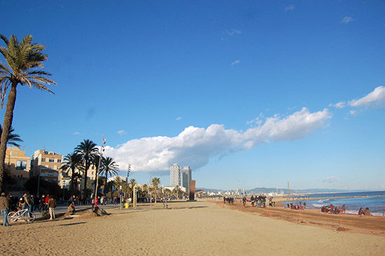 　　巴塞罗那的海滩