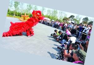 中外记者聚焦园博会