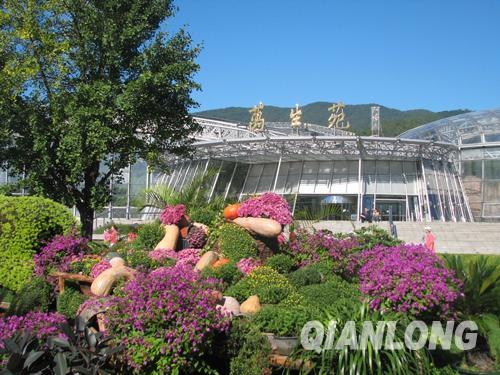 第21届市花展暨第5届北京菊花文化节将在北京植物园举办。