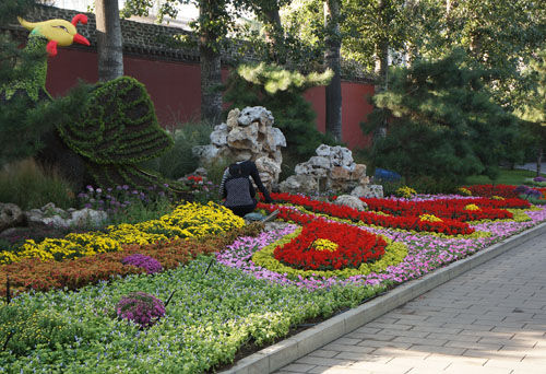 6686体育官网花圃是什么意思 花圃释义