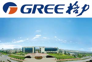 格力电器空降董事遭否 上市公司治理走向博