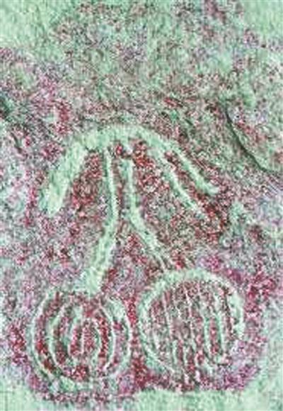 山东莒县境内现神秘岩画 内容为太阳崇拜 - 高山流水 - 三哥抑郁客-高山流水的博客 山东莒县境内现神秘岩画 内容为太阳崇拜 - 高山流水 - 三哥抑郁客-高山流水的博客