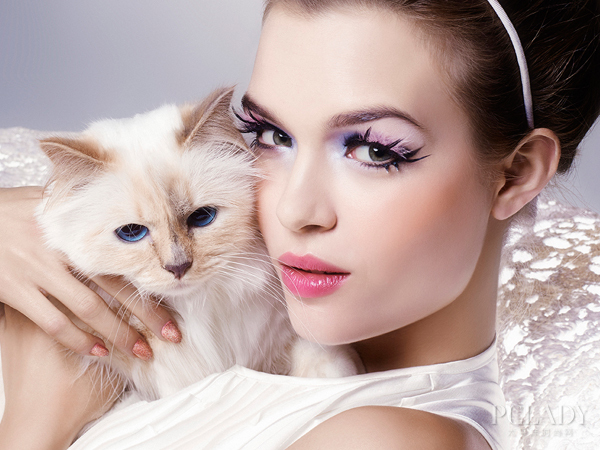 猫咪私语：可能是美妆界最时尚的猫眼妆