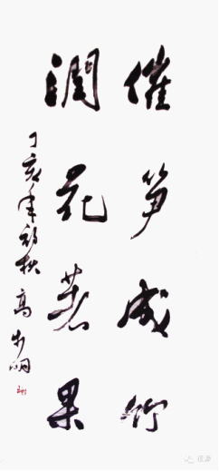 af7a7570c48c537.png