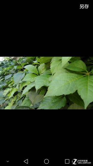 6寸大屏指纹识别全金属华为Mate7评测