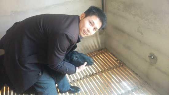 男子放弃美国名校到山坳放羊年销售达5000万元