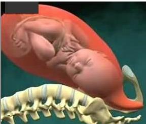 宝宝是旋转着出生的看看生孩子全过程(组图)