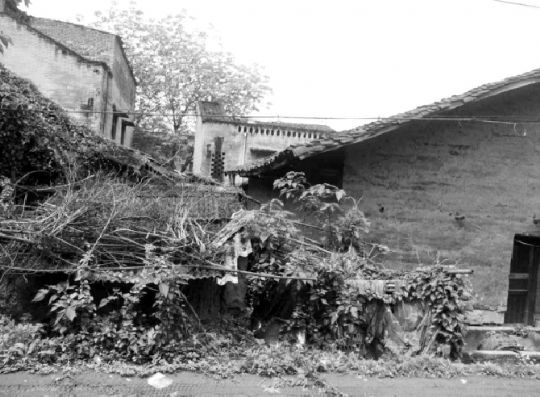 为建小南海水电站,2006年,官方下达“封库令”,禁止房屋建设以及招商引资。8年后,中坝岛上许多房屋都成了危房。本报记者邓全伦摄