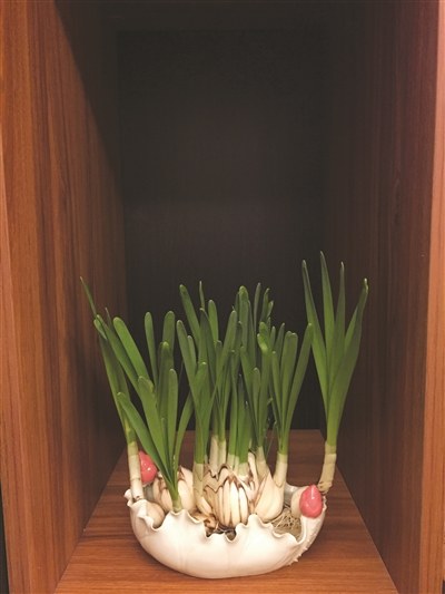 温暖过春节!宁波正月初二最高气温或达18度|最