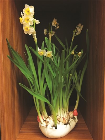 温暖过春节!宁波正月初二最高气温或达18度|最