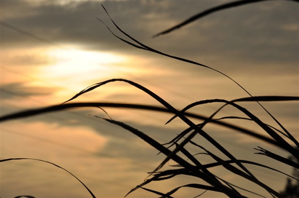 老公花心我与他高调较劲|老公|重庆妹子_凤凰