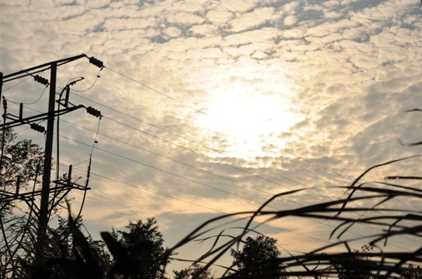 同是天涯沦落人背叛中绝地相恋|情敌|胸膜转移