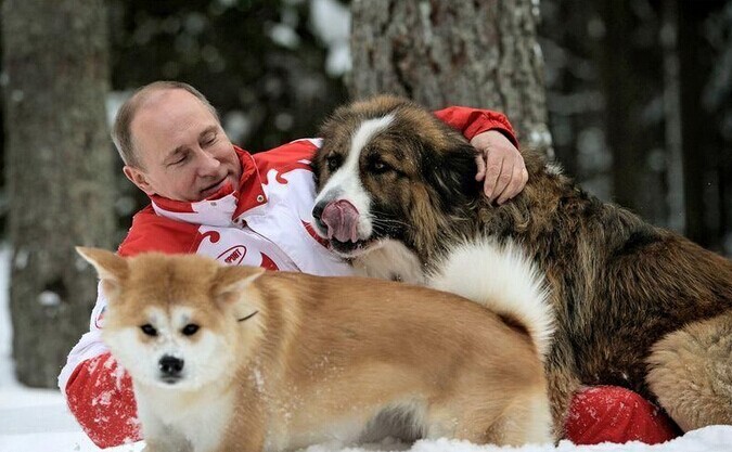 各国政要宠物情缘:普京养虎最霸气 - 4G视界