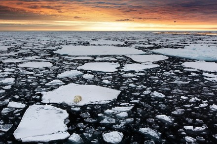 震惊150302:我是一只孤独的北极熊 独坐在万年的冰川中