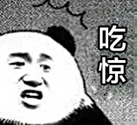[午fun来了]动物园园长输给猴子|这俩鸟显然舌吻了