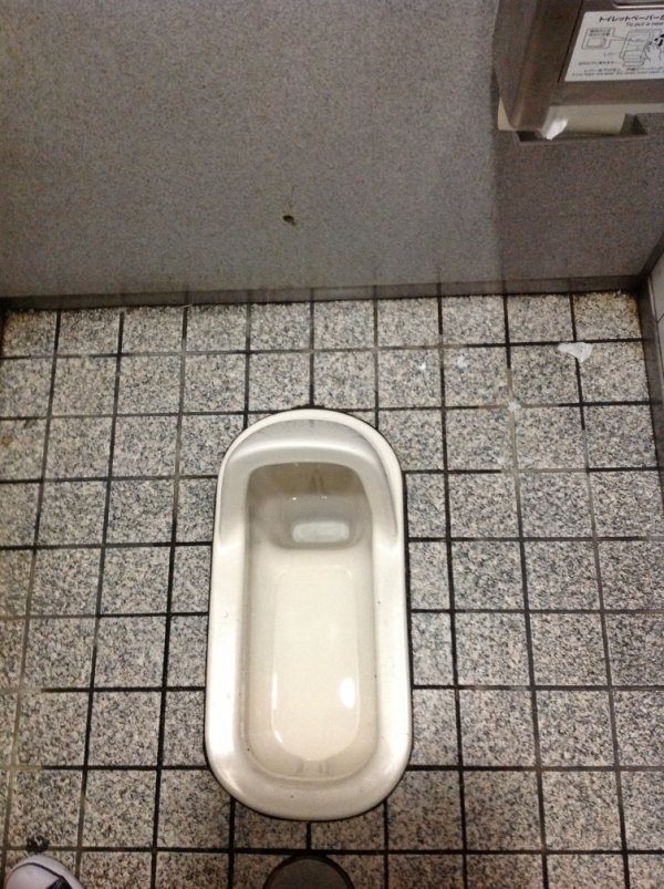 大便蹲还是坐?被上厕所分成两派的日本人