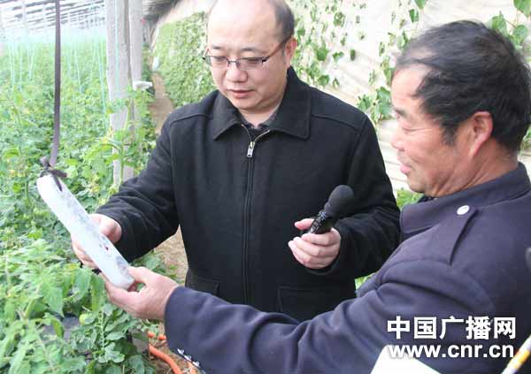 中央台“沂蒙春早”报道组记者王凯深入山东临沂莒南县村民的蔬菜大棚，了解西红柿的种植情况。