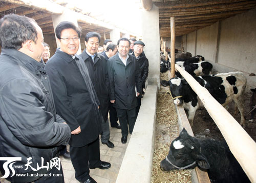 华西村人均收入_历年农民人均纯收入(2)