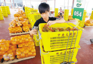 　　海吉星将取代布吉农批成为深圳市唯一的一级批发市场。　　（资料图）