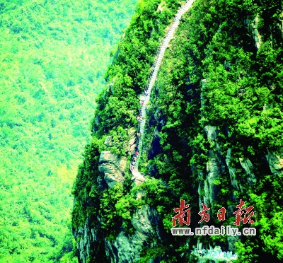 早春的树吉他谱_早春二月 人均