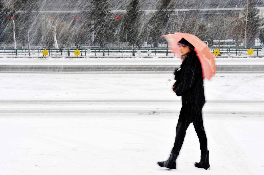 哈尔滨迎来大风雨雪天气
