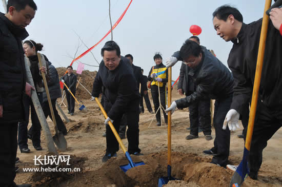 威县:全力打造绿色生态之城 共植树6000多棵