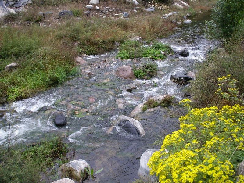 猪圈沟(资料图片)