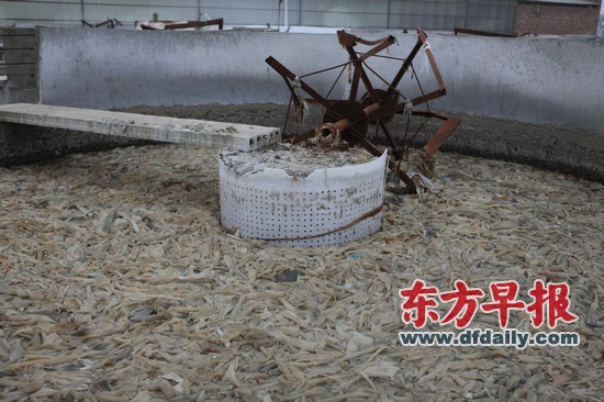 河北省阜城县，学洋明胶工厂废弃的“胶洗皮”车间。问题胶囊事发后，当地40多家明胶作坊被强拆。 早报记者 孙湛 图