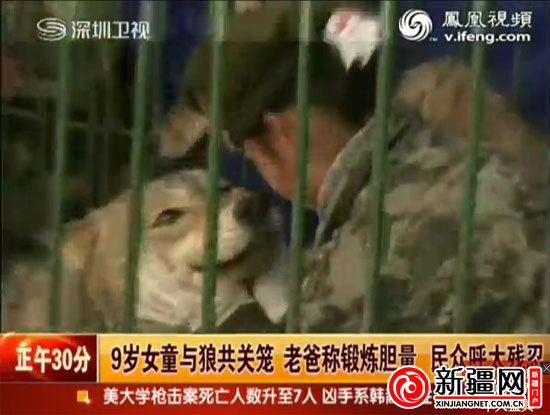 9岁<em>女孩与狼共舞</em> 父亲称只为锻炼其胆量_资讯