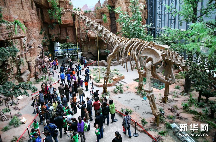 地质博物馆里迎世界地球日(图)