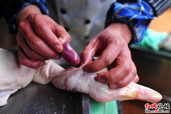 网友发图称鸭子整容成鹅价格翻番 行家教你辨