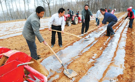 东乡族人口_东乡族的人口地理(2)