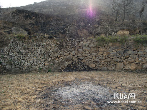 武安:一村民焚烧玉米杆 引发山体火灾被刑拘