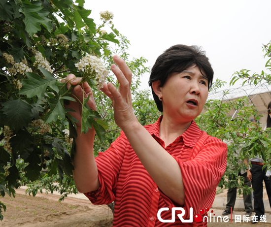 退休后来北京新房子专业合作社富贵种植园享受田园诗般生活的贾燕明向记者介绍假日农场的美好生活